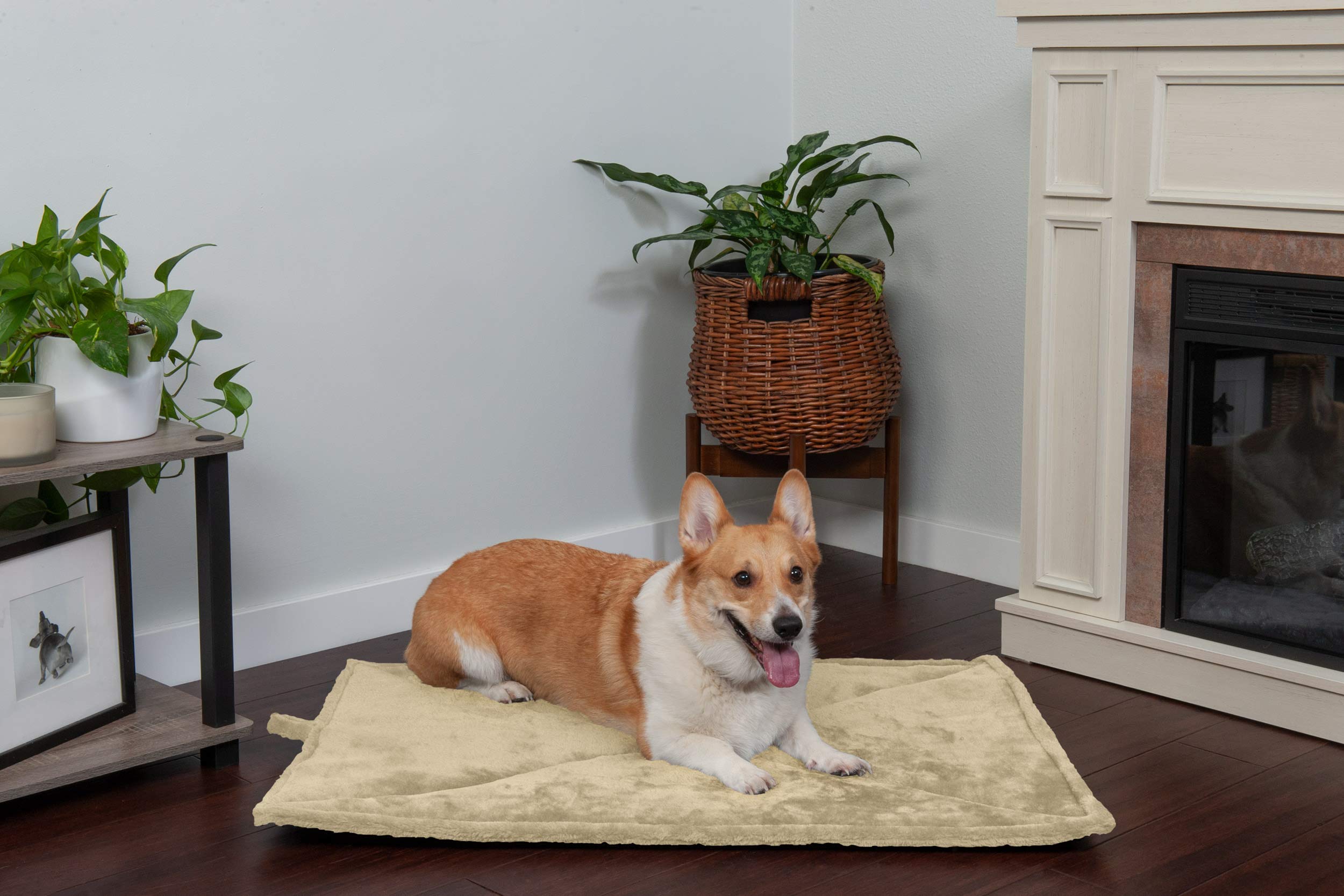 Foto 5 pulgar | Cama Para Gatos Furhaven Thermanap, Autocalentable, Lavable, Crema, Pequeña - Venta Internacional.
