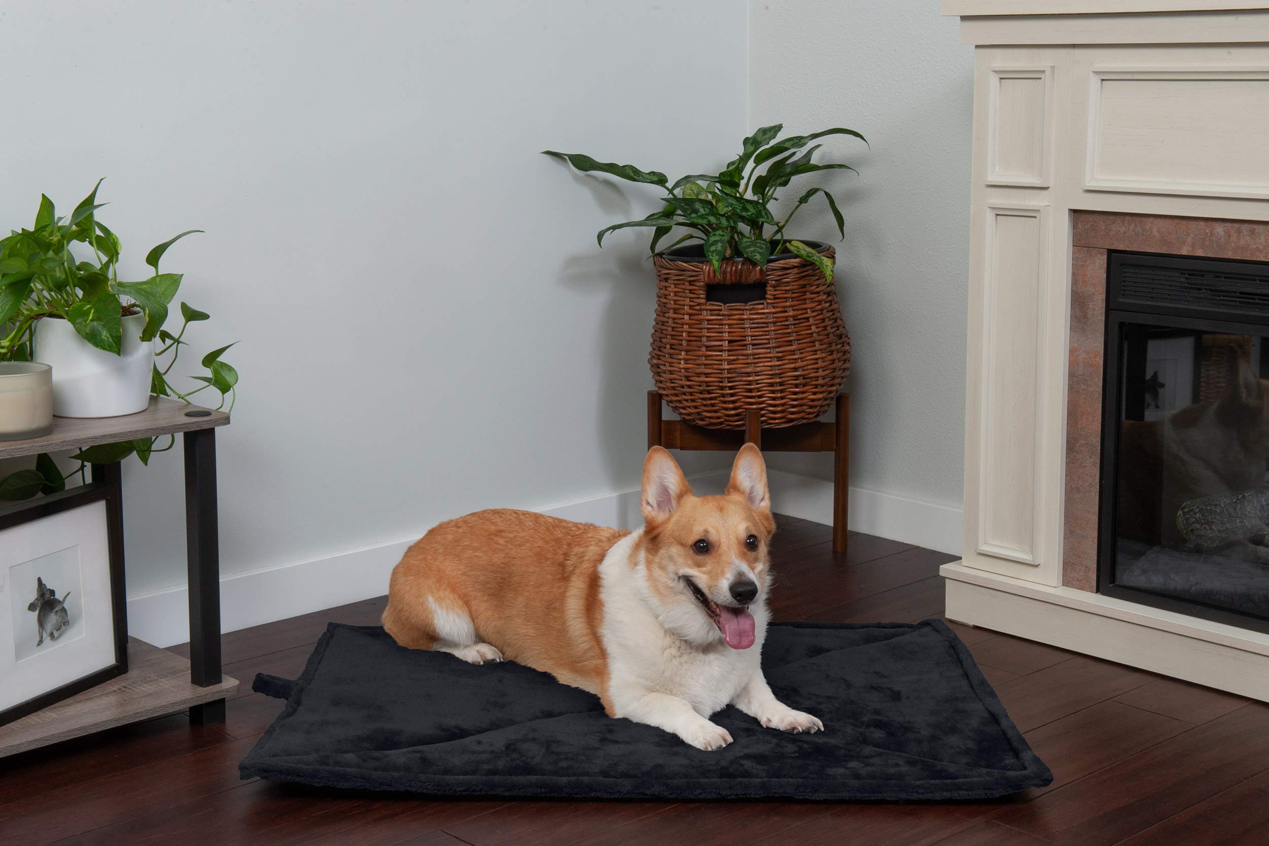 Foto 6 pulgar | Cama Para Gatos Furhaven Thermanap, Autocalentable, Lavable, Negra - Venta Internacional.