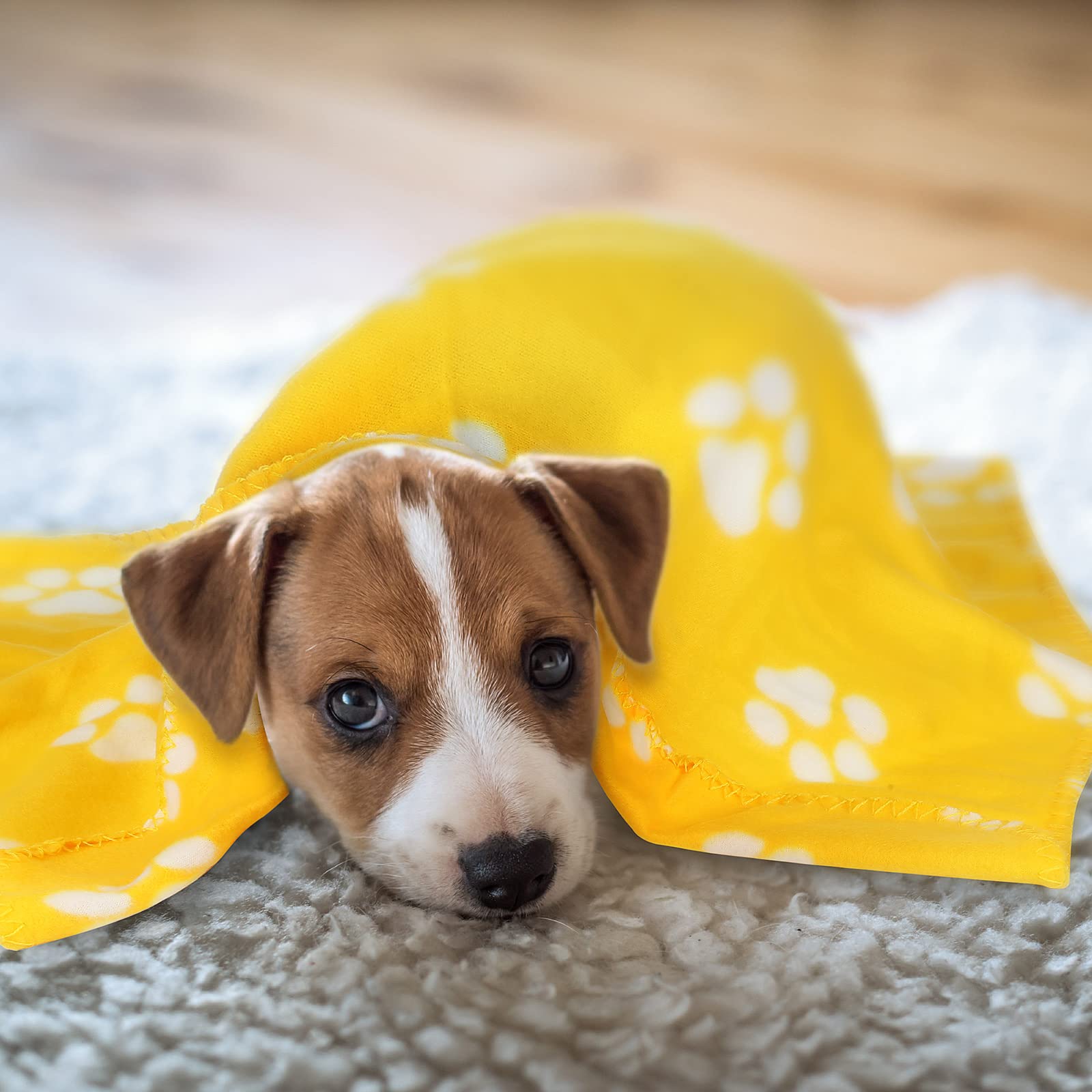 Foto 6 | Mantas Tatuo para Mascotas- Venta Internacional