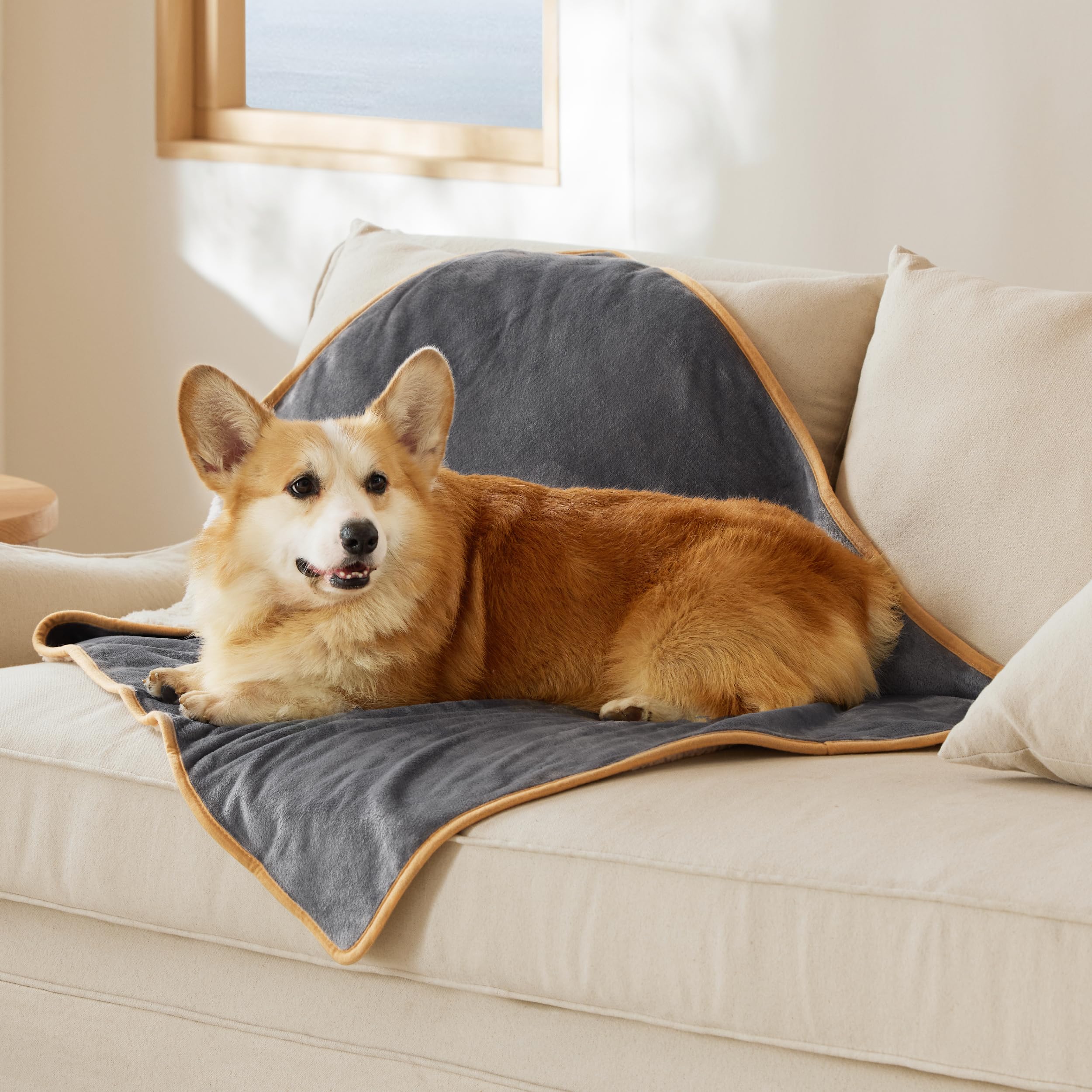 Foto 7 pulgar | Manta Impermeable Para Perros Y Gatos Grandes - Venta Internacional.