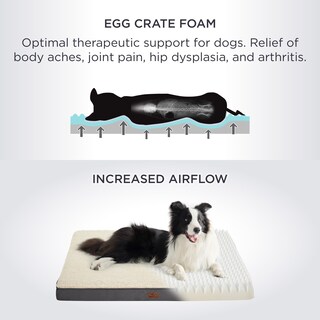 Foto 3 | Cama Ortopédica Mediana Para Perros Con Funda Extraíble Y Lavable - Venta Internacional.