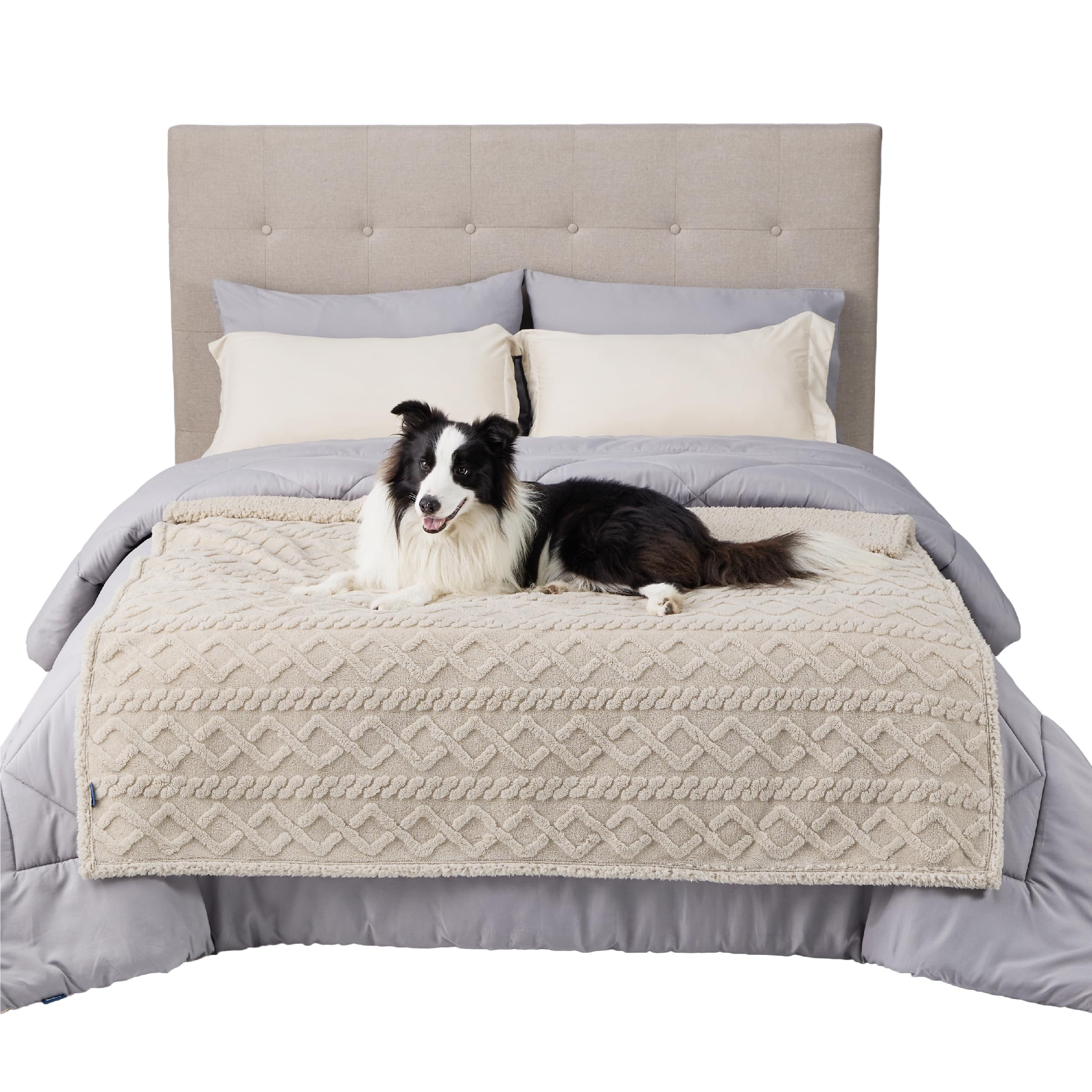 Foto 6 | Manta Impermeable Para Perros Grandes, 50 X 60 Cm, Color Crema - Venta Internacional.
