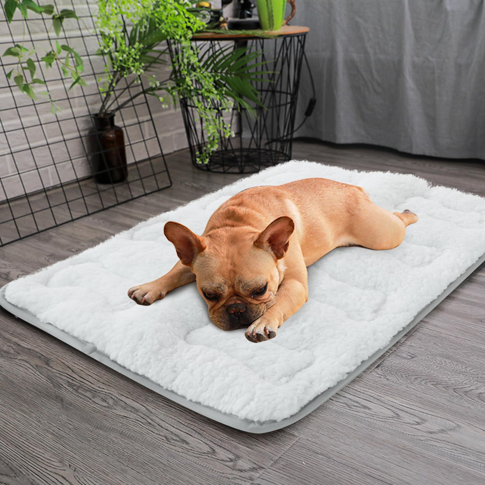 Foto 7 pulgar | Alfombrilla Para Perros Moonsea, Pequeña Y Suave, De Felpa, Lavable A Máquina - Venta Internacional.