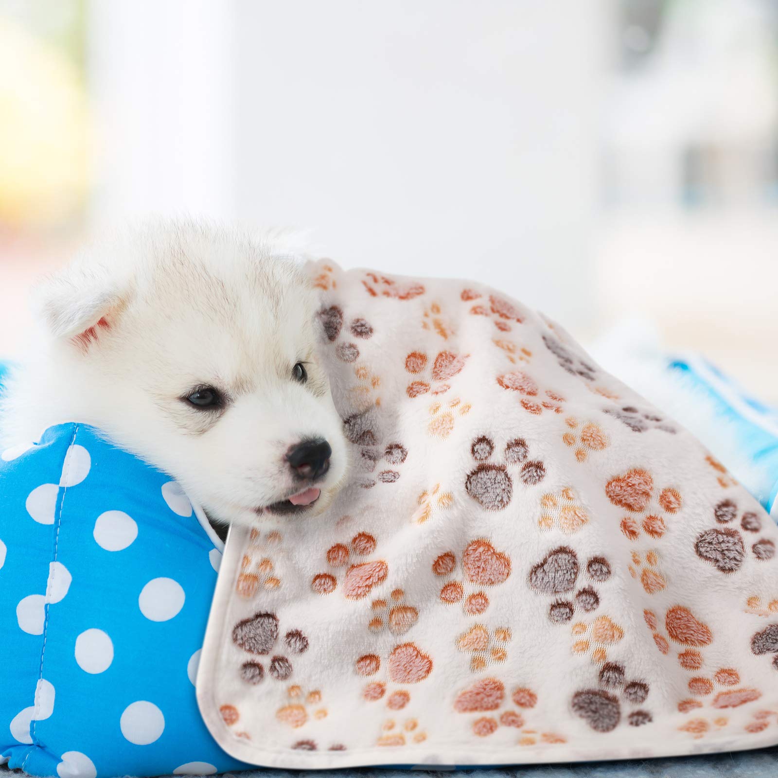 Foto 8 pulgar | Manta De Forro Polar Con Estampado De Patas Para Mascotas Y Perros, 4 Unidades (60 X 40 Cm) - Venta Internacional.