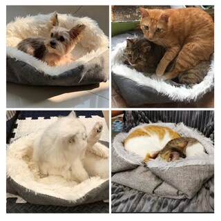 Foto 3 | Cama Para Mascotas Suave Lab.g, Gris Claro Y Oscuro