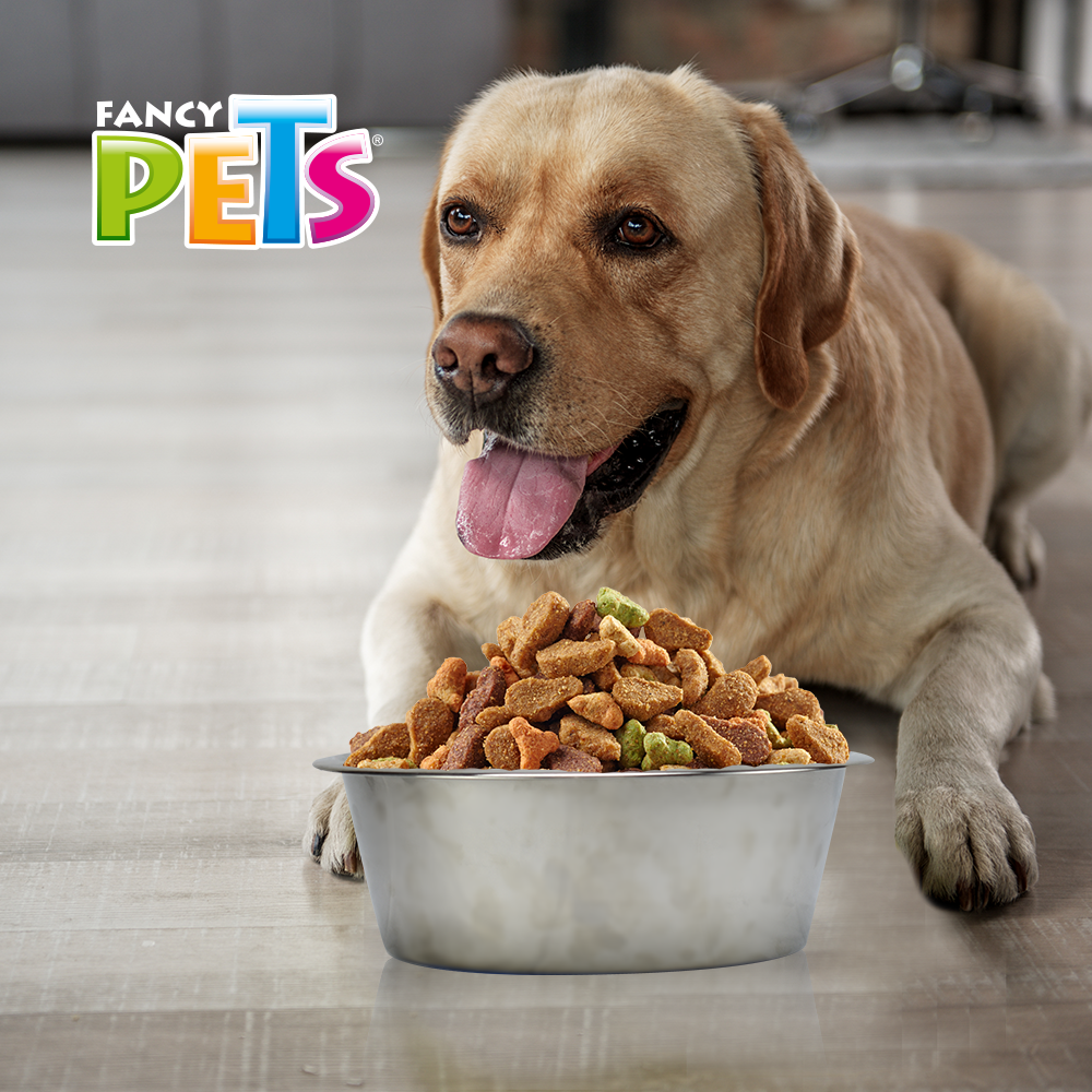 Foto 5 pulgar | Plato de Acero con Base Antiderrapante Fancy Pets Jumbo