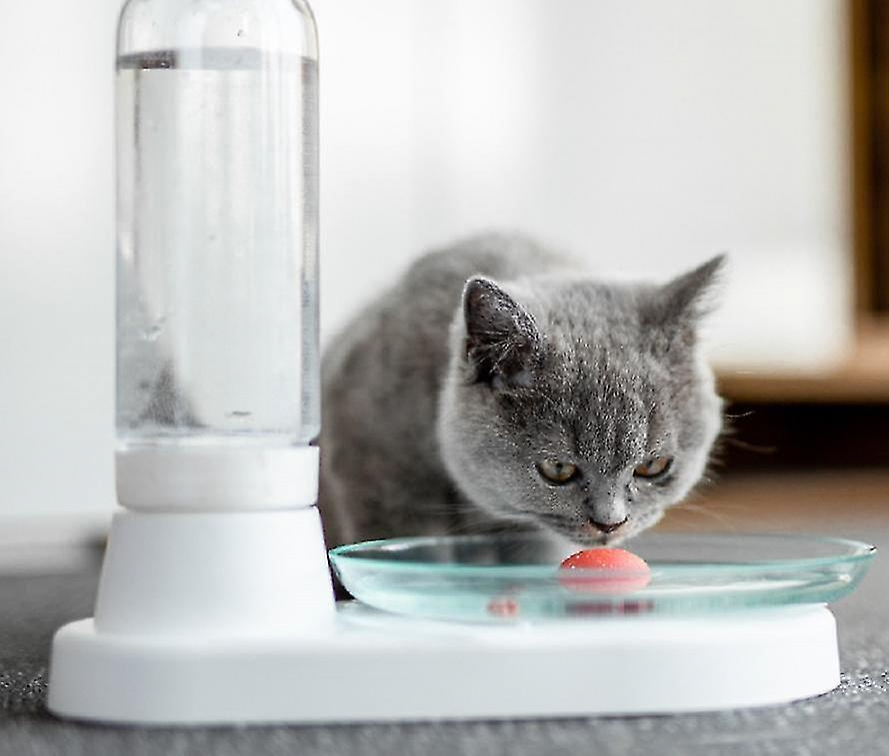 Foto 5 pulgar | Dispensador Automático De Agua Potable Para Gatos Huoguo - Venta Internacional.