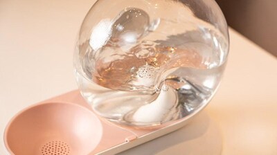 Foto 3 | Dispensador De Agua Para Gatos Con Forma De Bebedero Automático, 2,8 L, Burbuja - Venta Internacional.