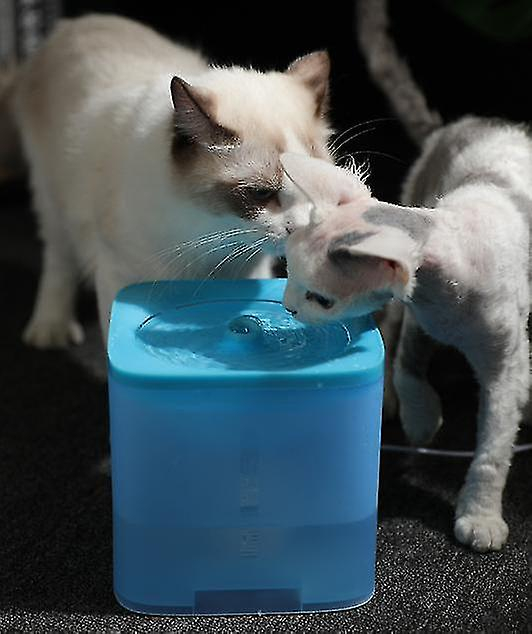 Foto 5 pulgar | Fuente De Agua Automática Para Gatos Huoguo 2.0l Con Alimentador Automático Azul - Venta Internacional.