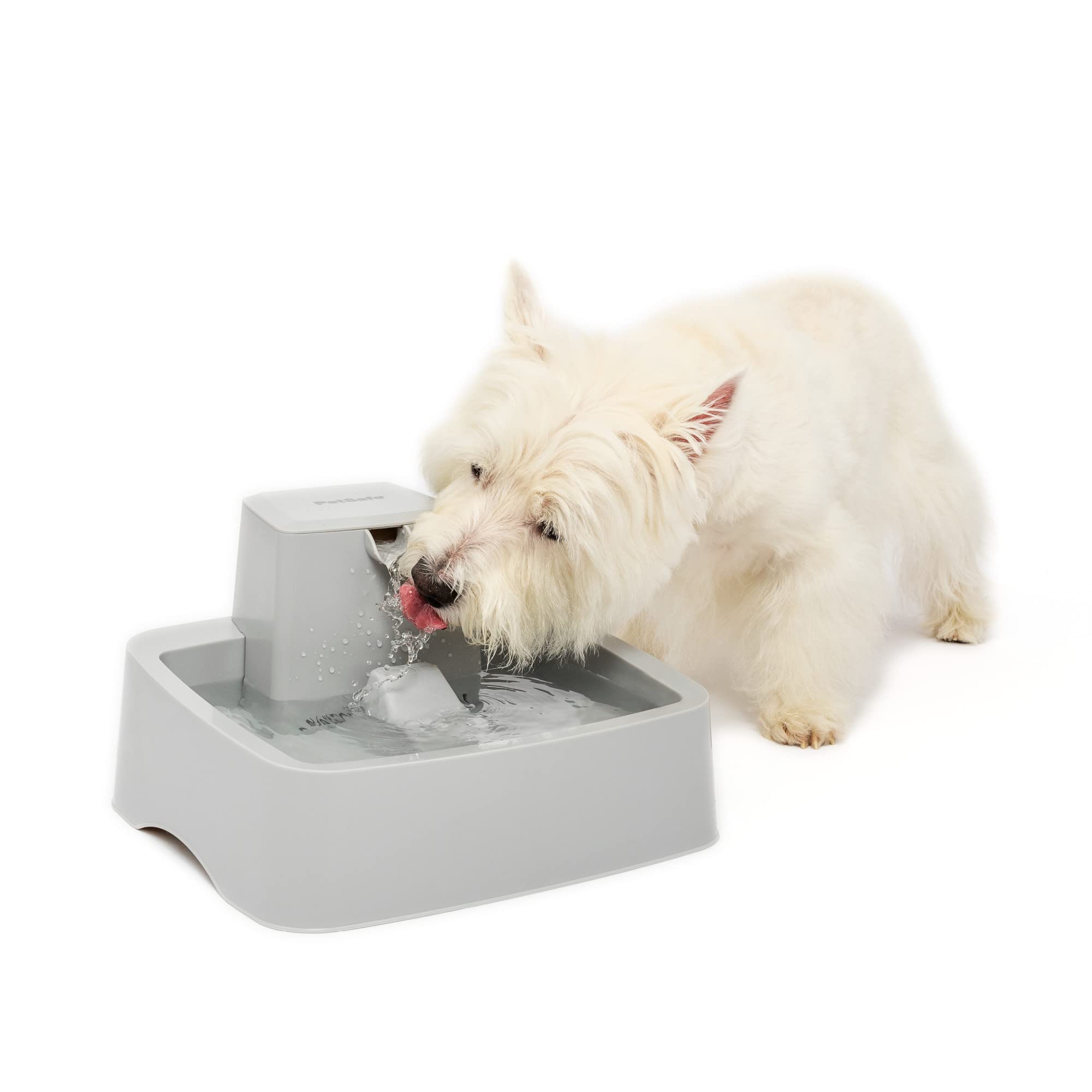 Fuente De Agua Petsafe Drinkwell Para Gatos Y Perros Pequeños - Venta Internacional.