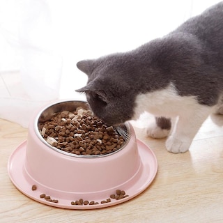 Foto 1 | Pet Bowl Huoguo, Bonito Gato Y Perro, Columna Cervical De 15 Grados - Venta Internacional.