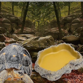 Foto 1 | Plato De Alimentación Para Reptiles Bird Cage Bird Baths De Resina - Venta Internacional.