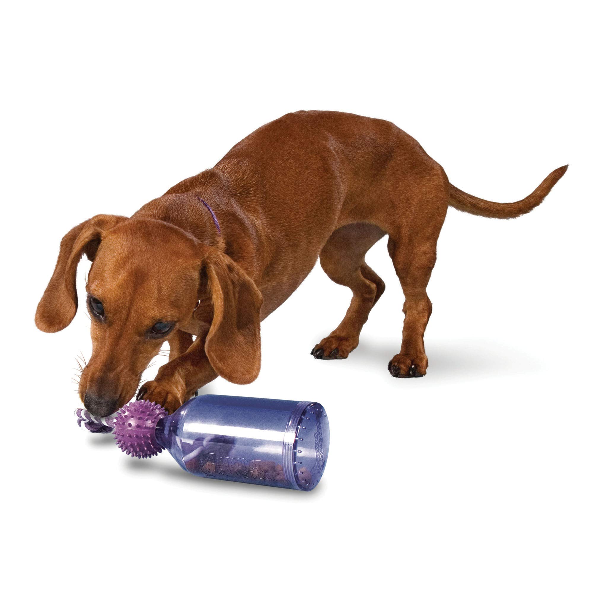 Juguete Dispensador De Comida Para Perros Petsafe Busy Buddy Tug-a-jug - Venta Internacional.