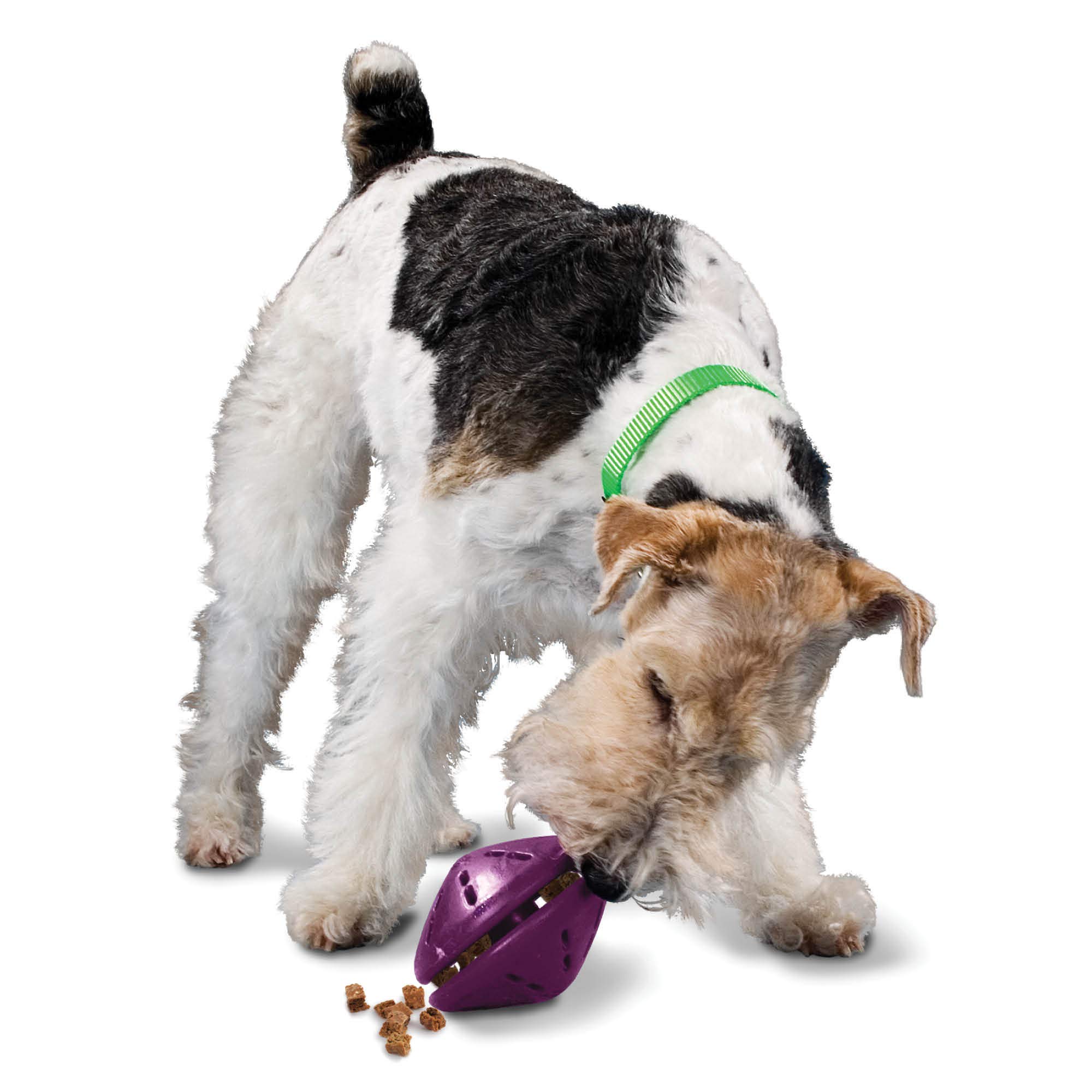 Foto 2 pulgar | Dispensador De Juguetes Para Perros Petsafe Busy Buddy Twist 'n Treat, Color Morado - Venta Internacional.