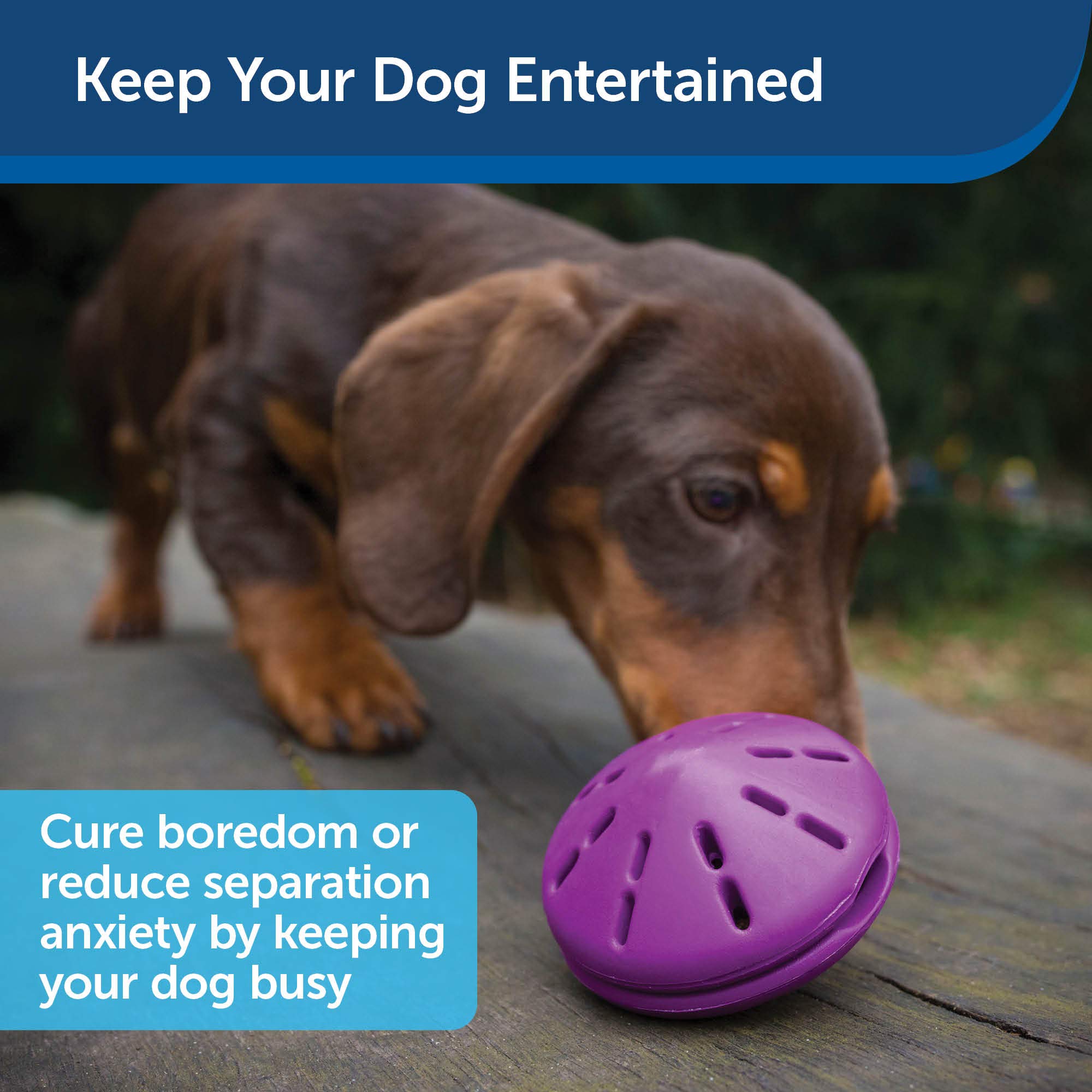 Foto 5 pulgar | Dispensador De Juguetes Para Perros Petsafe Busy Buddy Twist 'n Treat, Color Morado - Venta Internacional.