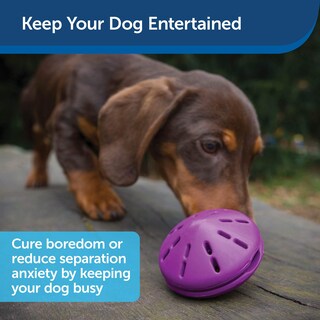 Foto 4 | Dispensador De Juguetes Para Perros Petsafe Busy Buddy Twist 'n Treat, Color Morado - Venta Internacional.