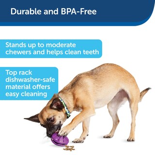 Foto 5 | Dispensador De Juguetes Para Perros Petsafe Busy Buddy Twist 'n Treat, Color Morado - Venta Internacional.