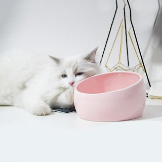 Foto 2 | Dispensadores De Comida, Cuenco De Cerámica, Comedero Para Gatos, Contenedor De Comida Para Perros - Venta Internacion