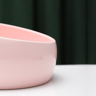 Foto 4 | Dispensadores De Comida, Cuenco De Cerámica, Comedero Para Gatos, Contenedor De Comida Para Perros - Venta Internacion