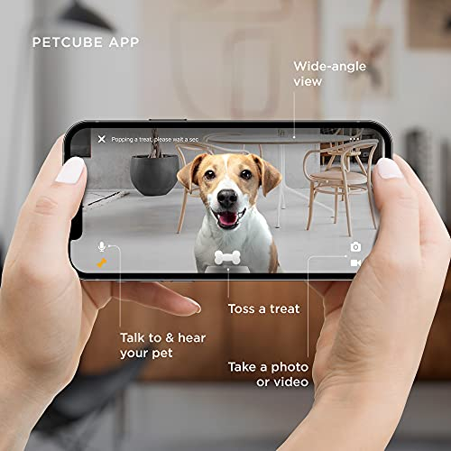 Foto 4 | Dispensador De Golosinas Para Mascotas Petcube Bites 2 Lite Cam - Venta Internacional.