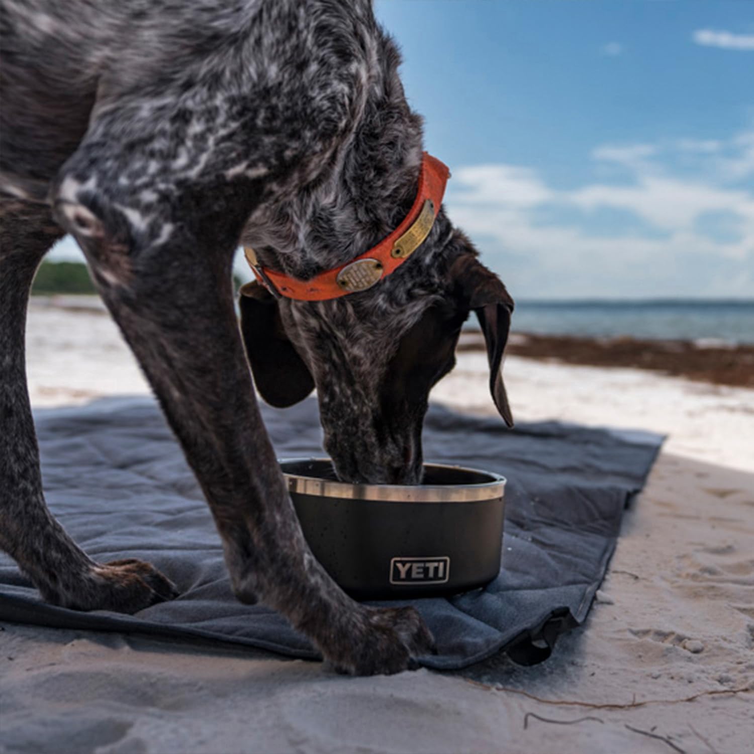 Foto 8 pulgar | Cuenco para Perros Yeti de Acero Inoxidable Violeta 1.9 l - Venta Internacional