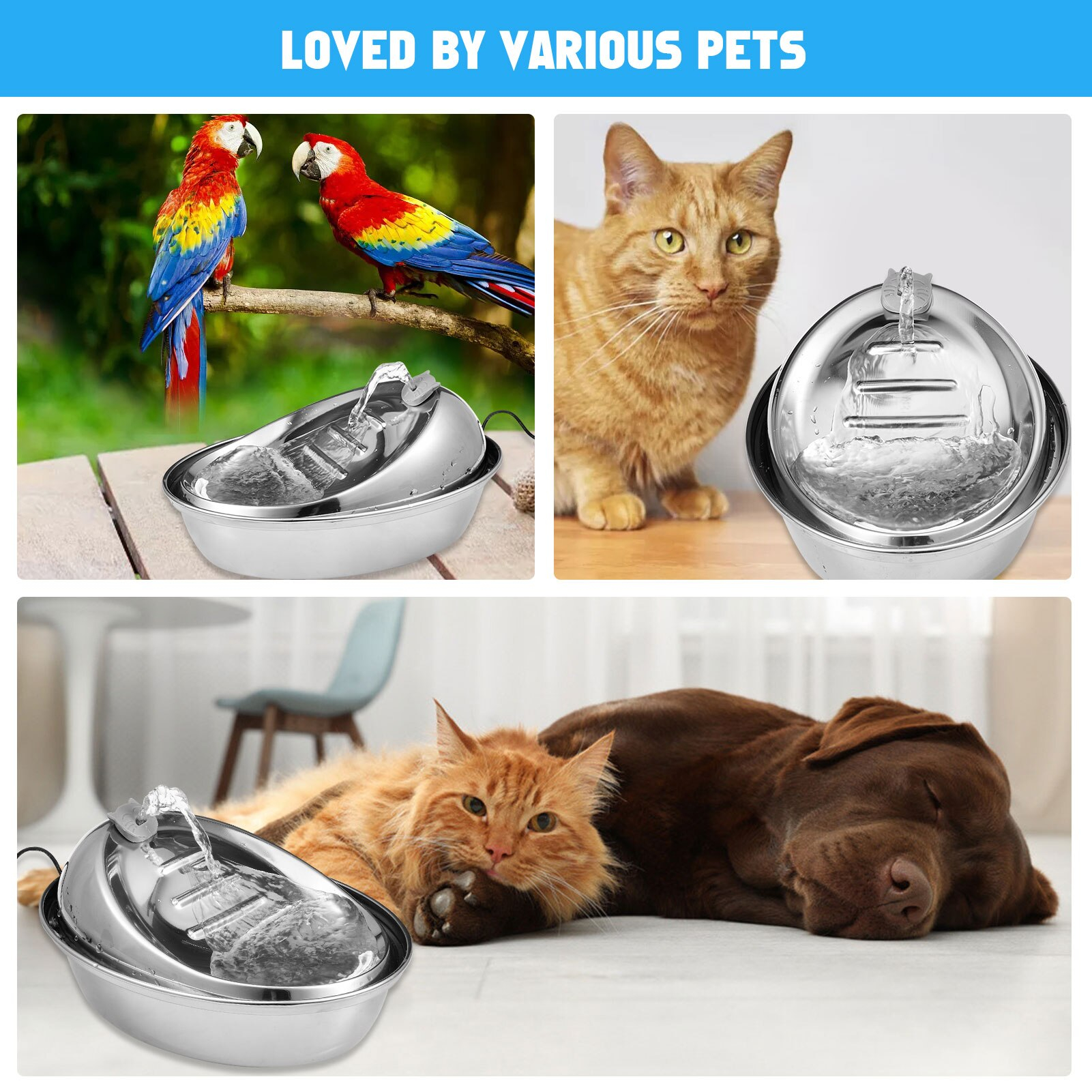 Foto 4 pulgar | Fuente Automática De Agua Potable Cat De Acero Inoxidable 2l - Venta Internacional.