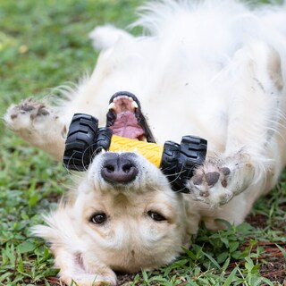 Foto 2 | Banda De Rodadura Nerf Tonka Para Juguetes Para Perros Con Comedero Interactivo De 18 Cm - Venta Internacional.