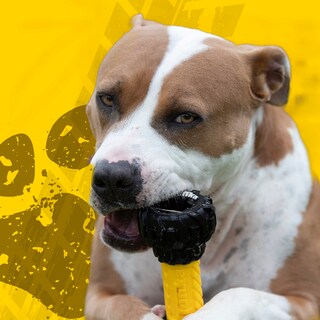 Foto 3 | Banda De Rodadura Nerf Tonka Para Juguetes Para Perros Con Comedero Interactivo De 18 Cm - Venta Internacional.