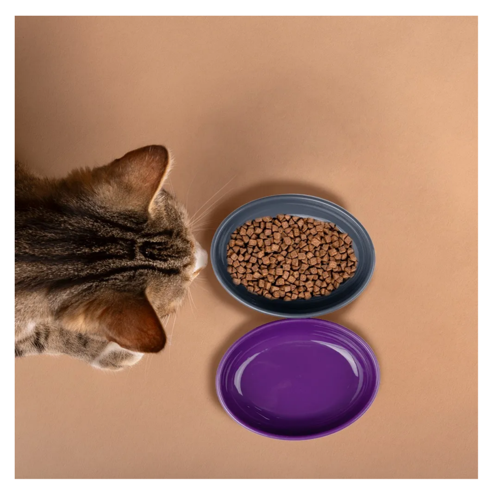 Foto 4 | Set 2 Platos Mascotas Belug  Gris Y Morado