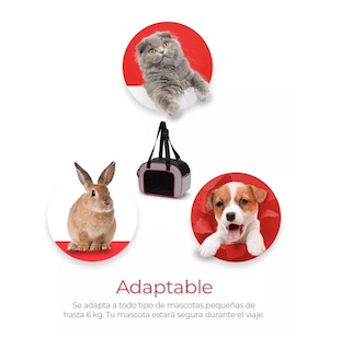 Foto 4 | Mochila Transportadora BELUG Portátil Plegable Gris para Mascotas