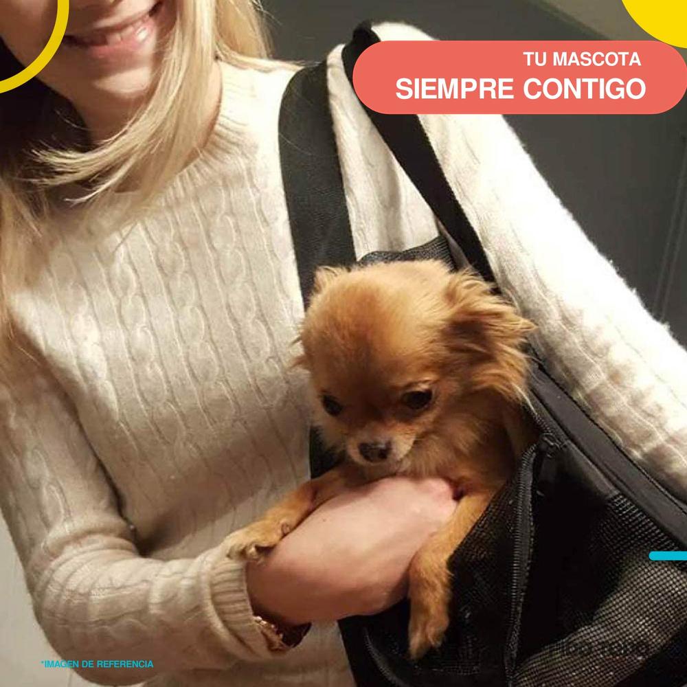 Foto 4 pulgar | Bolsa Transportadora de Mascotas Poli Pets PP-TPMBK-GD color Negro