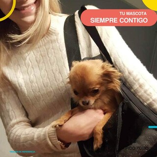 Foto 3 | Bolsa Transportadora de Mascotas Poli Pets PP-TPMBK-GD color Negro