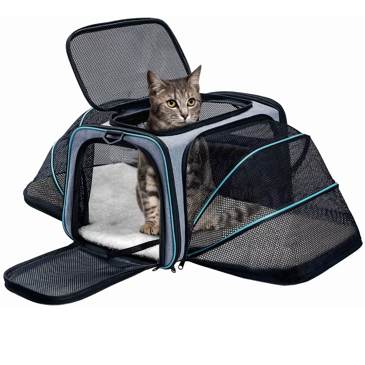 Transportadora Eo Safe Imports Esi10877 Gris para Mascota