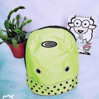 Foto 1 | Bolsa De Transporte De Mascotas Huoguo Para Mascotas Pequeñas, Hámster Y Conejo, Color Verde - Venta Internacional.