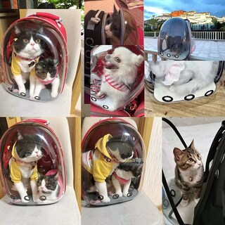 Foto 4 | Mochila Transportadora Para Mascota Pequeña Eo Safe Imports Esi-7931-1 Rojo