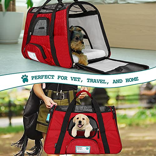 Foto 7 | Transportín Para Mascotas Petami Premium Aprobado Por La Aerolínea Rojo - Venta Internacional.