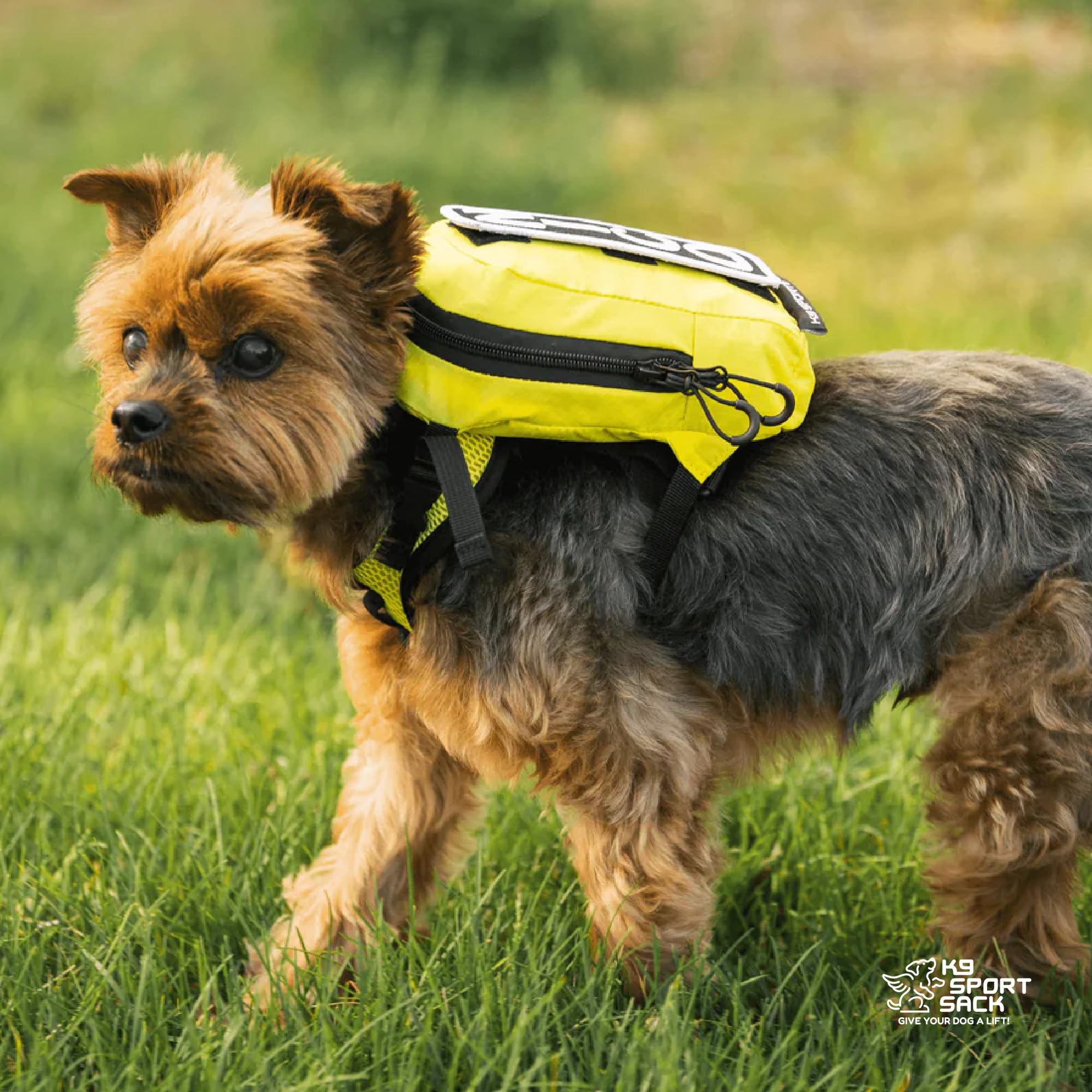 Foto 6 | Mochila Portabebés K9 Sport Sack Walk-on Small Shark Grey - Venta Internacional.