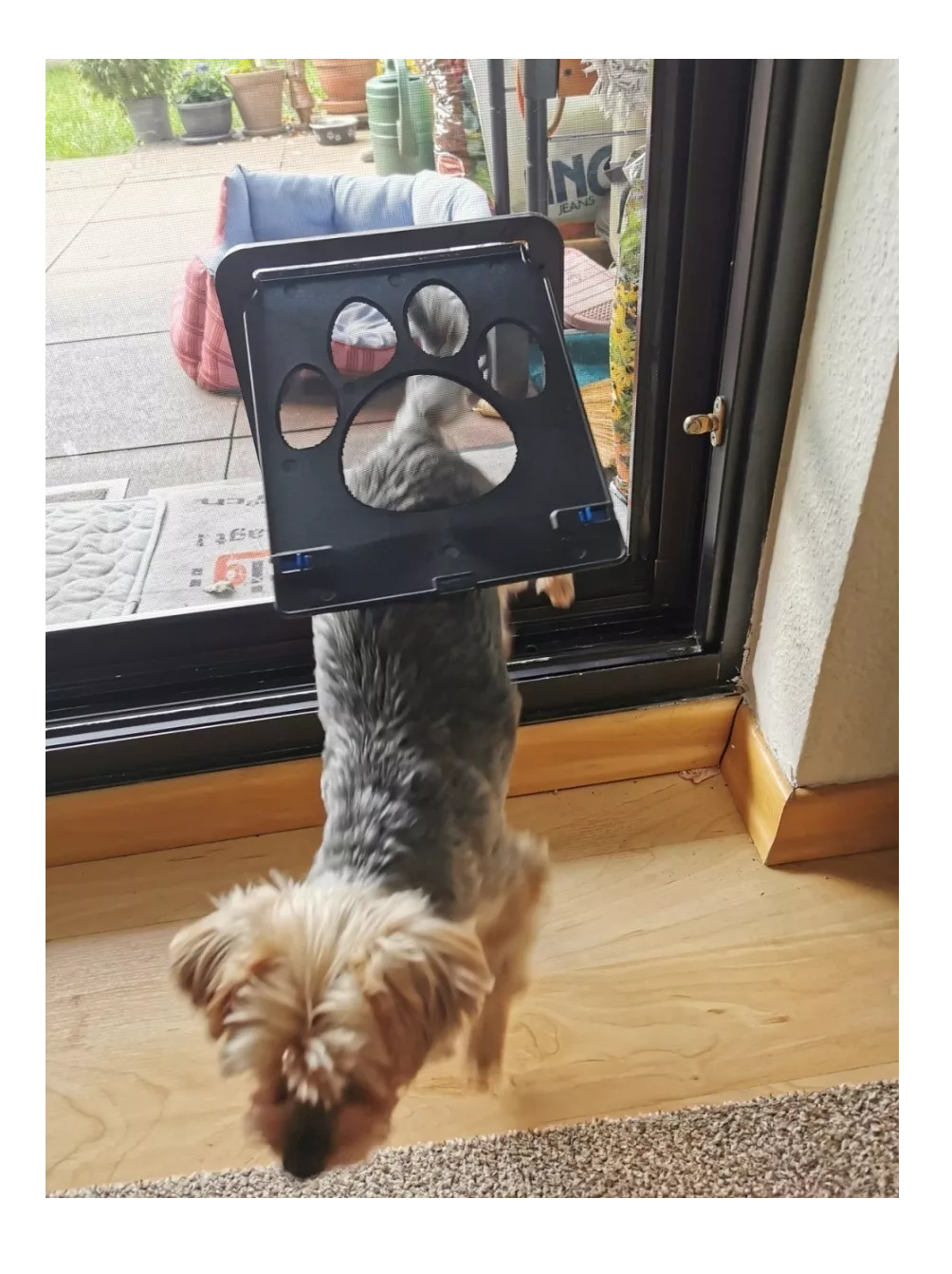 Foto 3 pulgar | Puerta Belug de Malla para Mascota