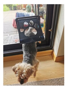 Foto 2 | Puerta Belug de Malla para Mascota