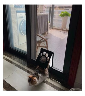 Foto 3 | Puerta Belug de Malla para Mascota
