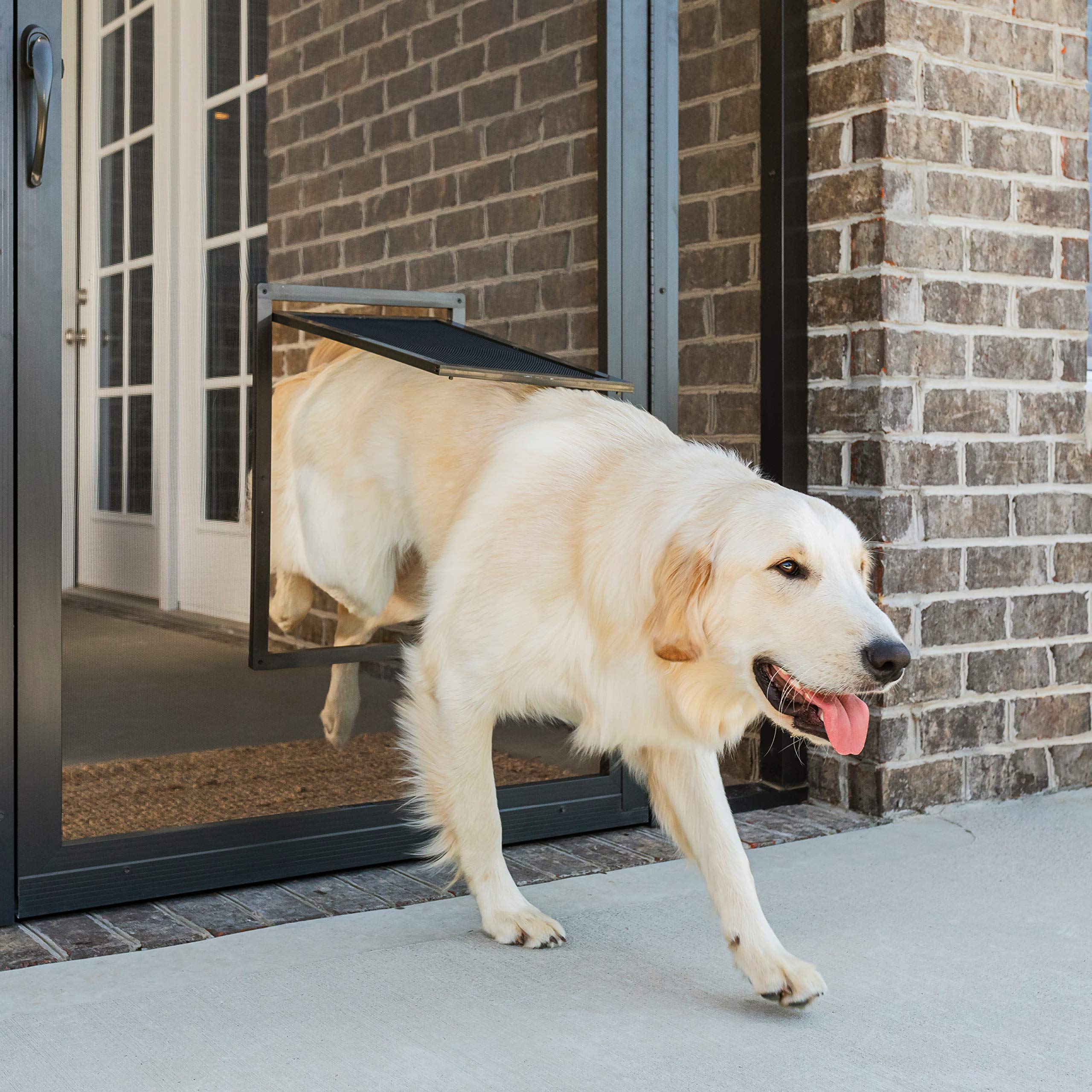 Puerta Mosquitera Petsafe Never Rust, Tamaño Grande Para Mascotas De Hasta 45 Kg - Venta Internacional.