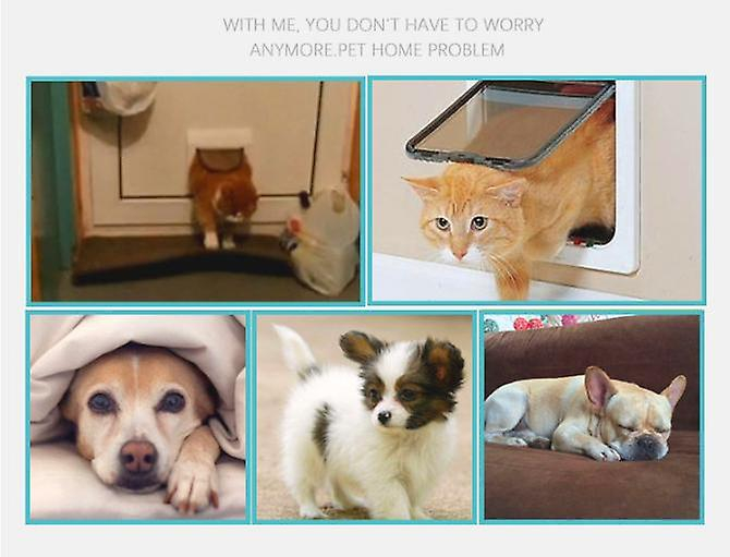 Puerta Para Mascotas Sanlin Beans Con Cierre De 4 Modos Para Gato Y Perro (blanco) - Venta Internacional.