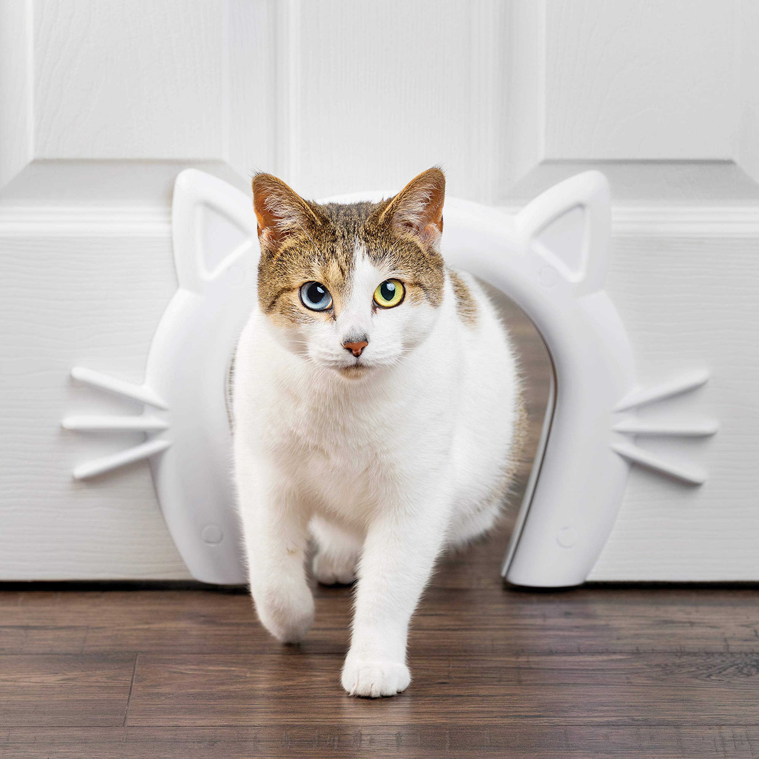 Puerta Interior Cat Door Petsafe Cat Corridor Para Gatos - Venta Internacional.