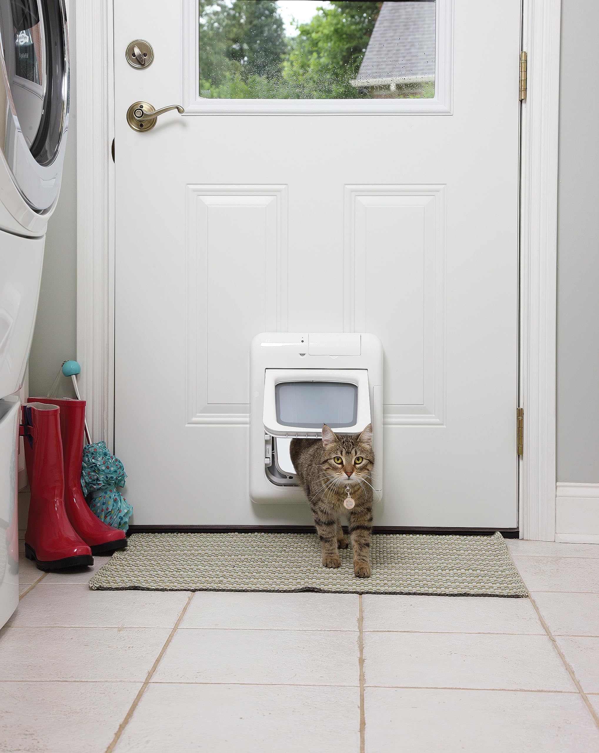 Foto 5 | Llavero Con Microchip Para Gatos Sin Microchip Petsafe, Color Blanco - Venta Internacional.