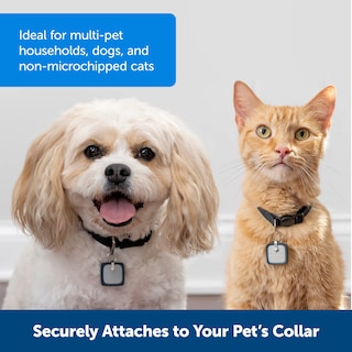 Foto 3 | Llave Smartdoor Connected Para Mascotas Para Perros Y Gatos - Venta Internacional.