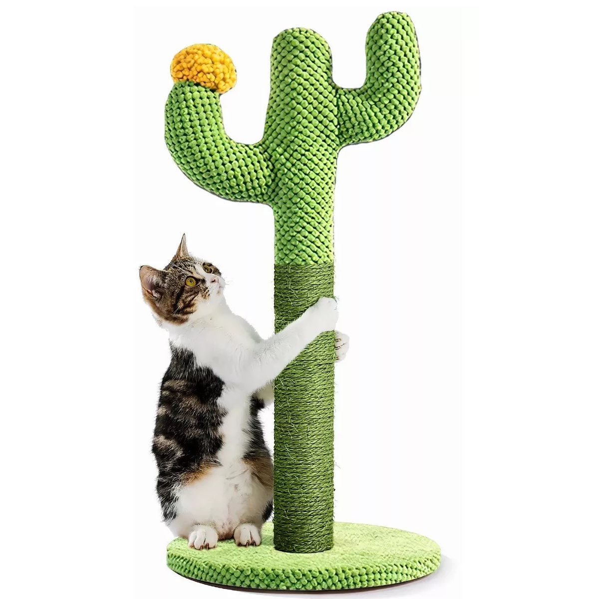 Foto 2 | Poste Rascador de Cactus Eo Safe Imports Esi-7835 color Verde para Gatos