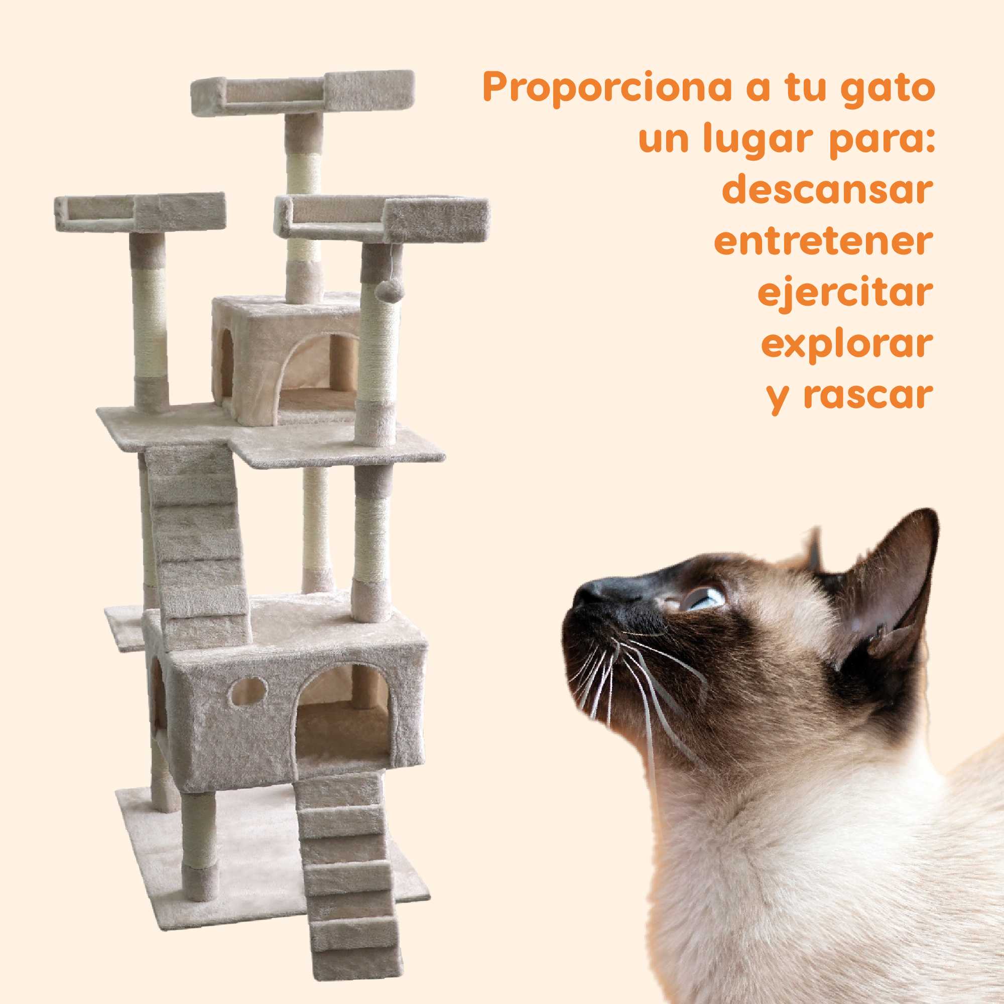 Foto 5 pulgar | Mueble Rascador Poli Pets PP-MR01BE-BUR para Gato Burmilla