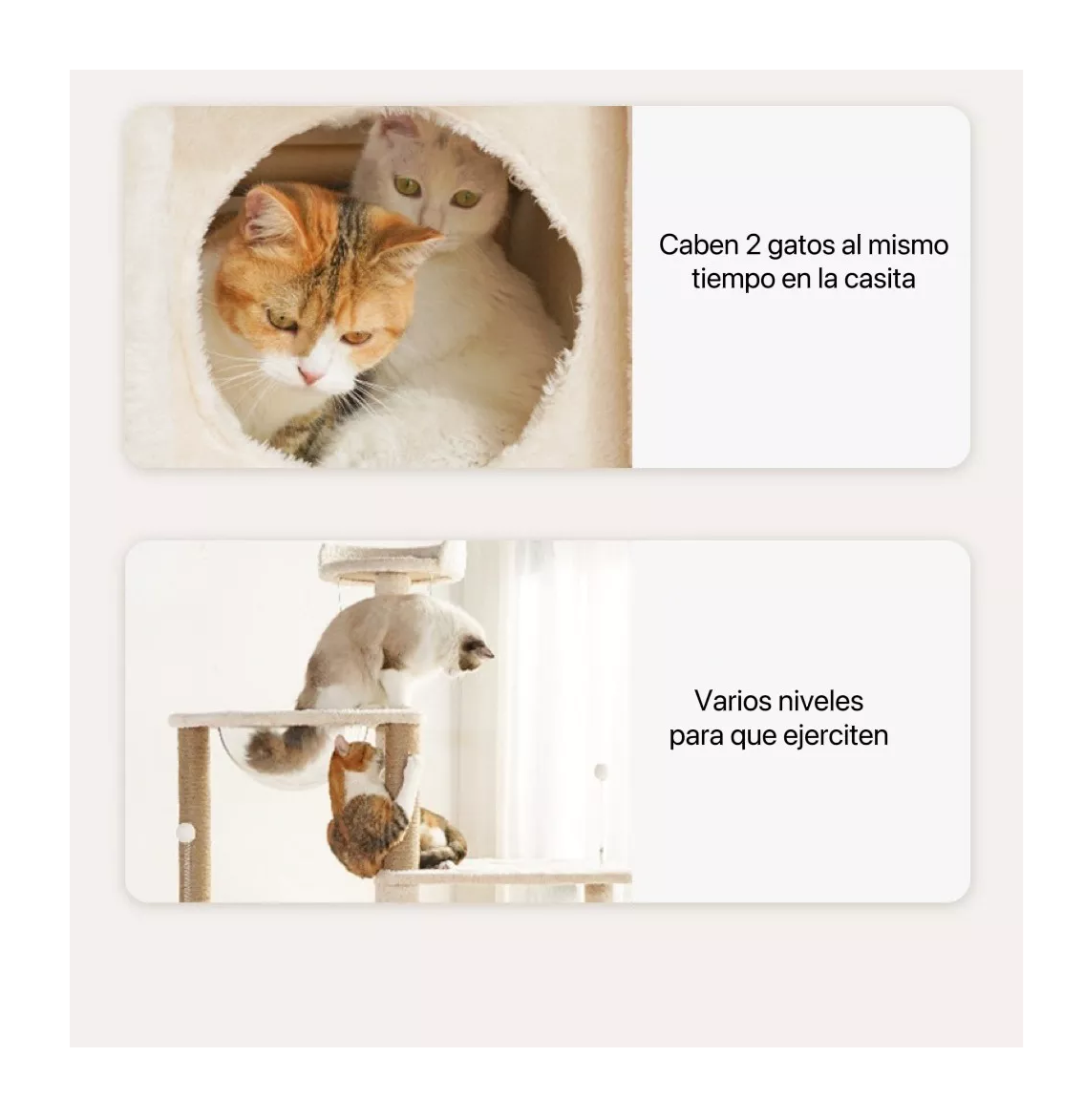 Foto 5 pulgar | Mueble Rascador para Gato Varios Niveles 172 Cm