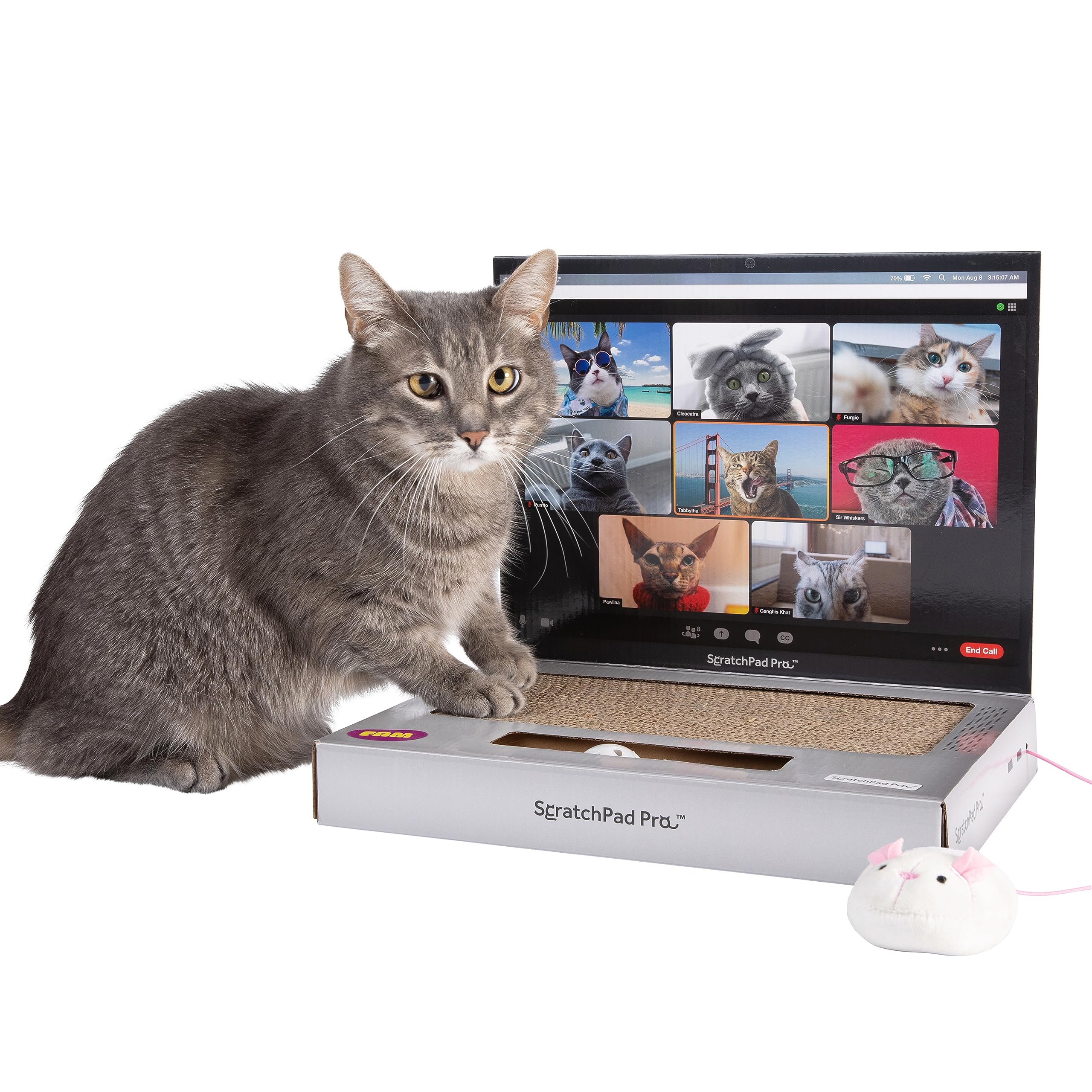 Laptop Cat Toy Scratcher Con Pantalla De Videochat Y Ball Track P - Venta Internacional.