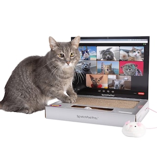 Foto 1 | Laptop Cat Toy Scratcher Con Pantalla De Videochat Y Ball Track P - Venta Internacional.